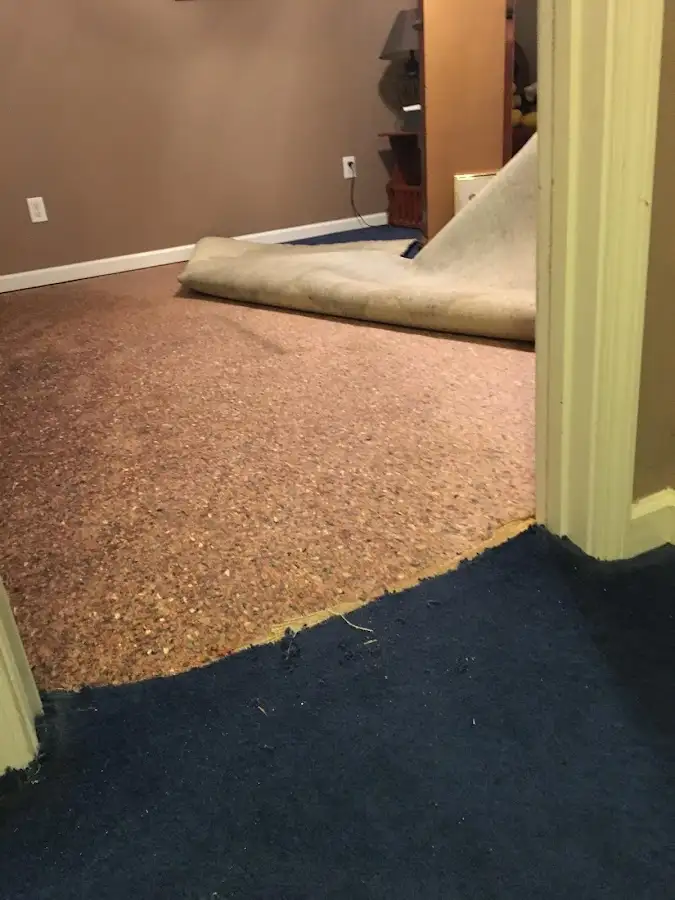 Carpet pad removal revealing water damage during Drying & Dehumidification in Topanga