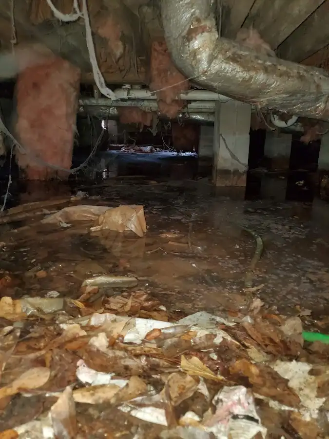 Crawl space flood assessment for Leak Detection & Repair in Topanga