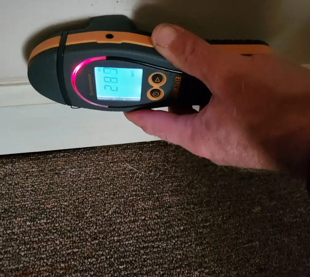 Moisture detection at baseboard during Mold Inspection & Testing in Topanga